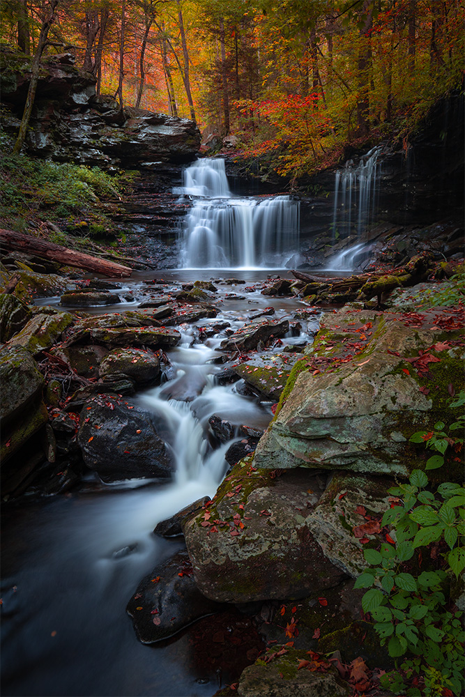 Beloved fall colors in one of my favorite places on Earth.