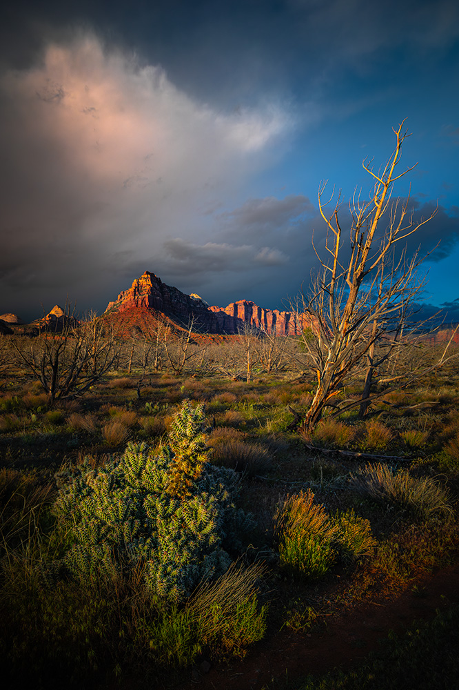 Nothing hinted at good weather conditions that day. I almost gave up on the idea of photographing in the evening and planned to go to bed early instead. A large cloud in the sky and a gut feeling made me turn around when I had already passed the area. The sunset light turned out to be amazing.
